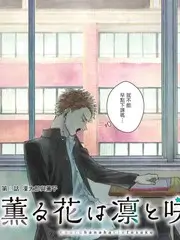 韩流观光团